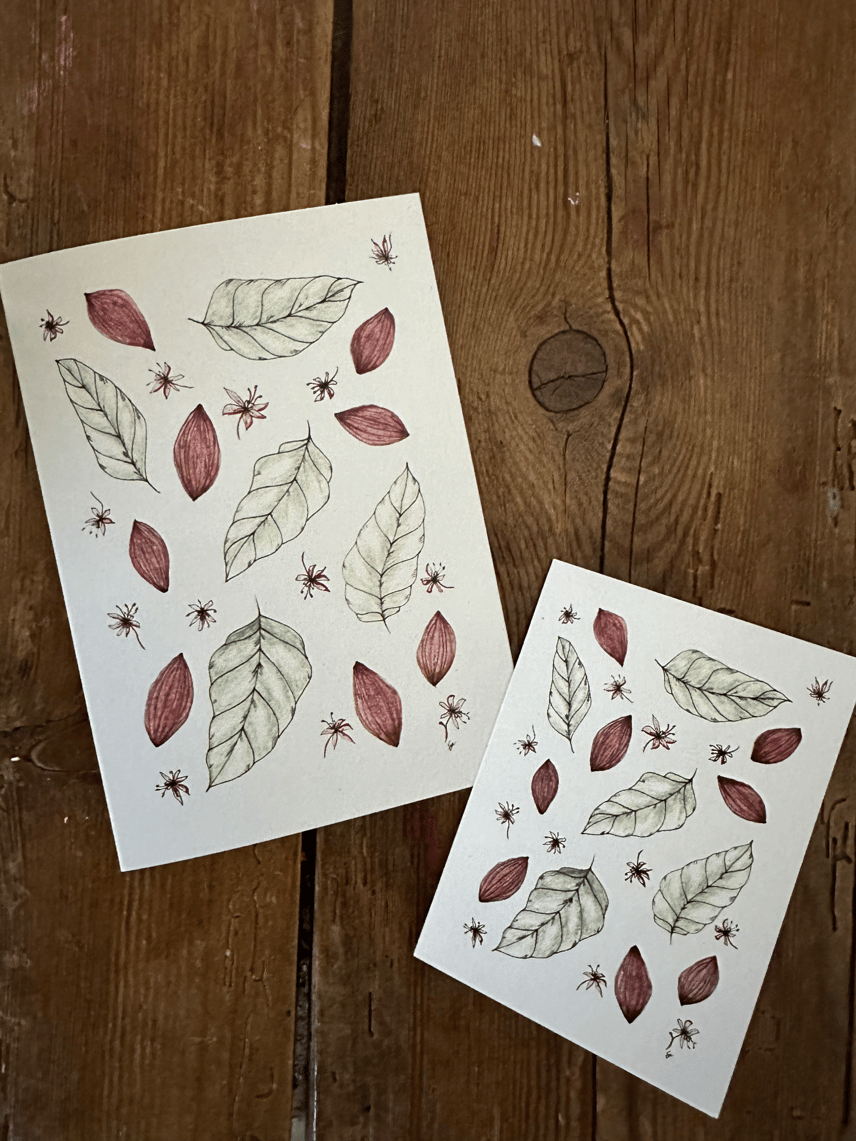Kategori: Blomsterkort - Håndtegnede kort og design fra Cards by Eve