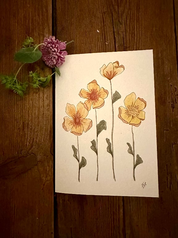 Inspiration: Valmuer orange (Kort nr. 103) - Håndtegnet blomsterkort fra Cards by Eve