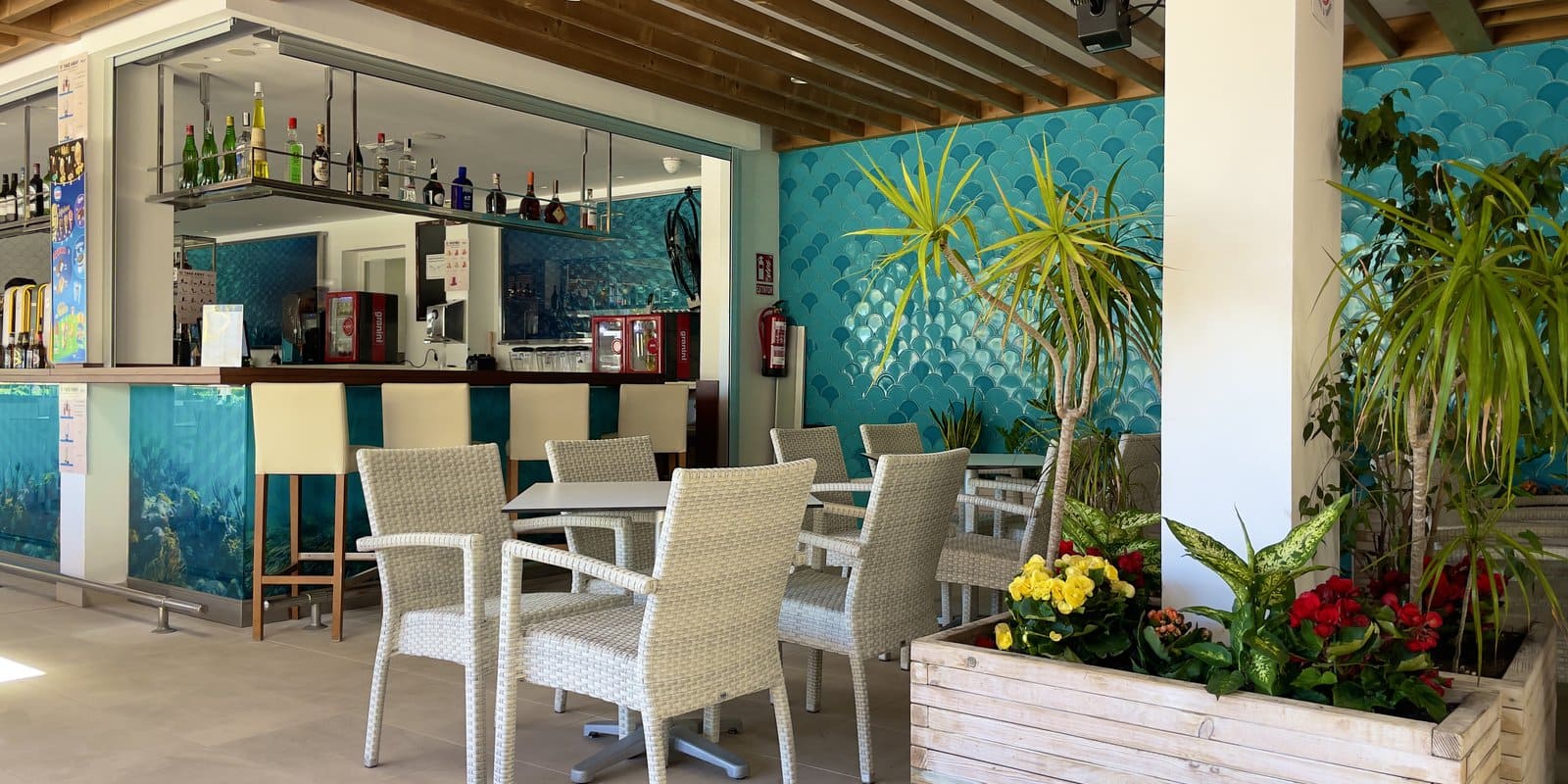 Puerto Azul Suite Hotel - Billede 18