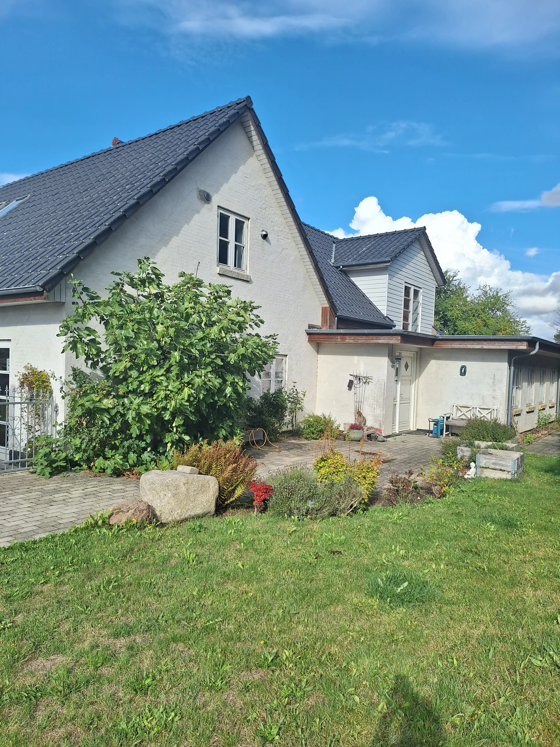 Ibjerget – huset i naturen på Midtfyn