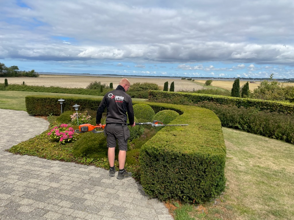Haveservice billede 1