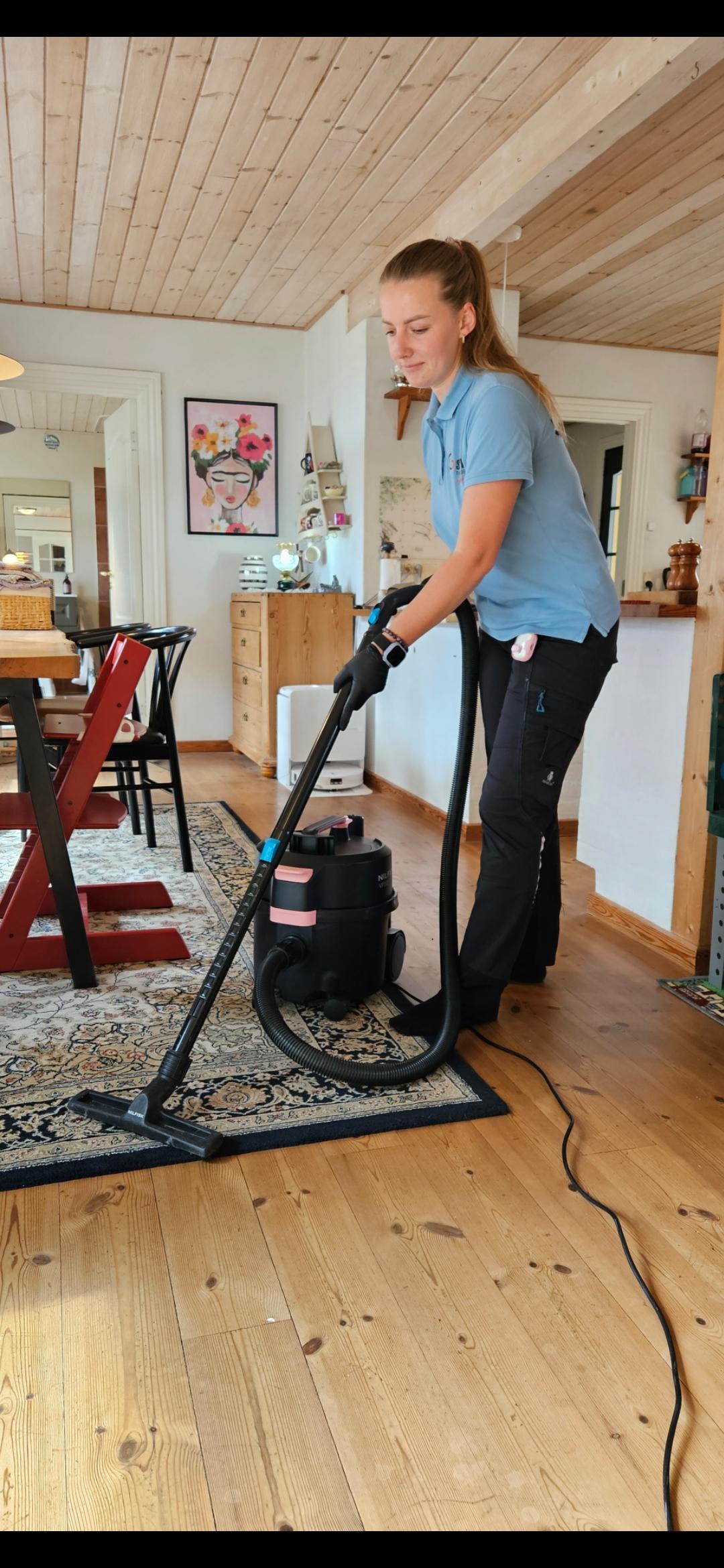 Rengøring privat
