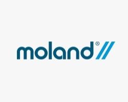 Moland