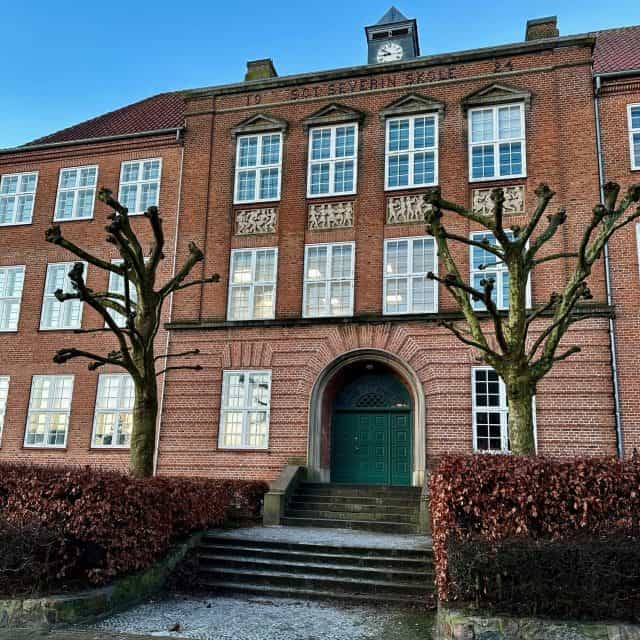 Beskæring af træ af certificeret arborist