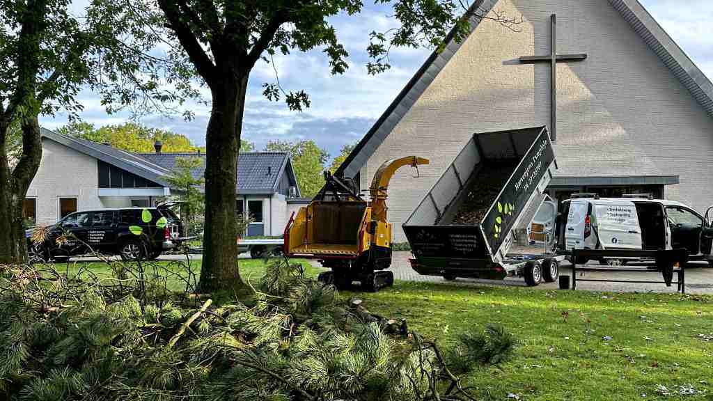 Rodfræsning Horsens - Lad os klare problemet