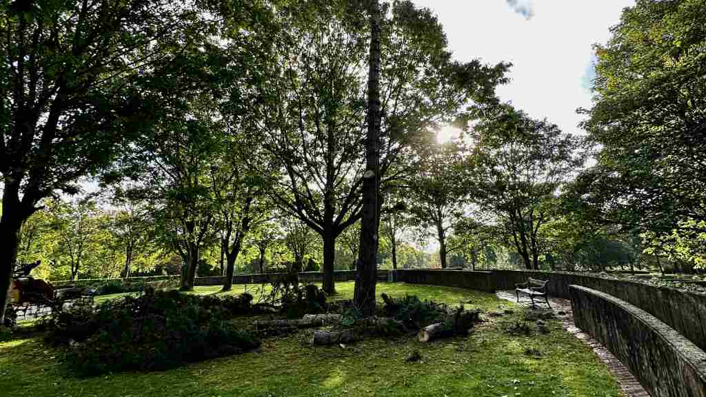 Træfældning i Kolding