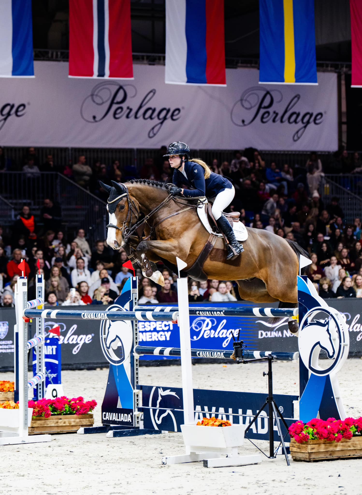 Equinesport Galleri 18