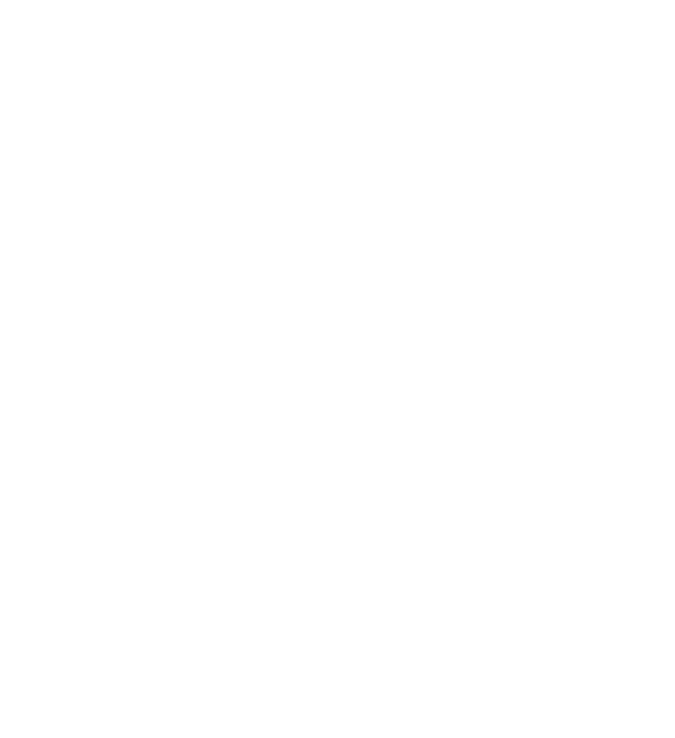 Equinesport Logo