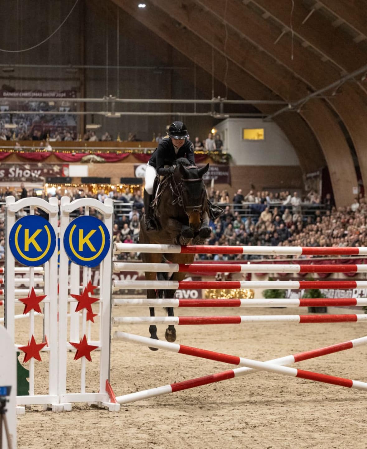 Equinesport Galleri 13