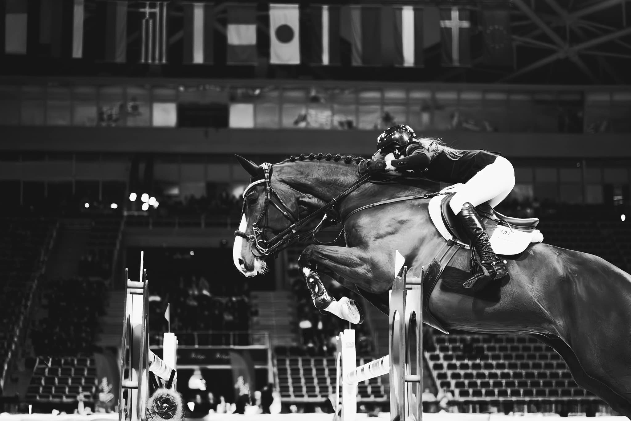 Equinesport Galleri 4