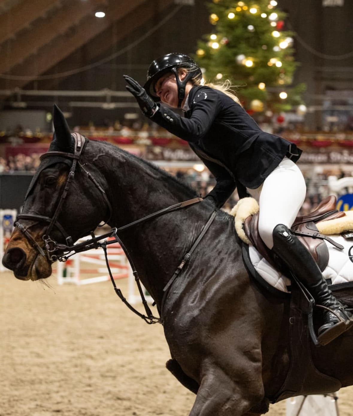Equinesport Galleri 12