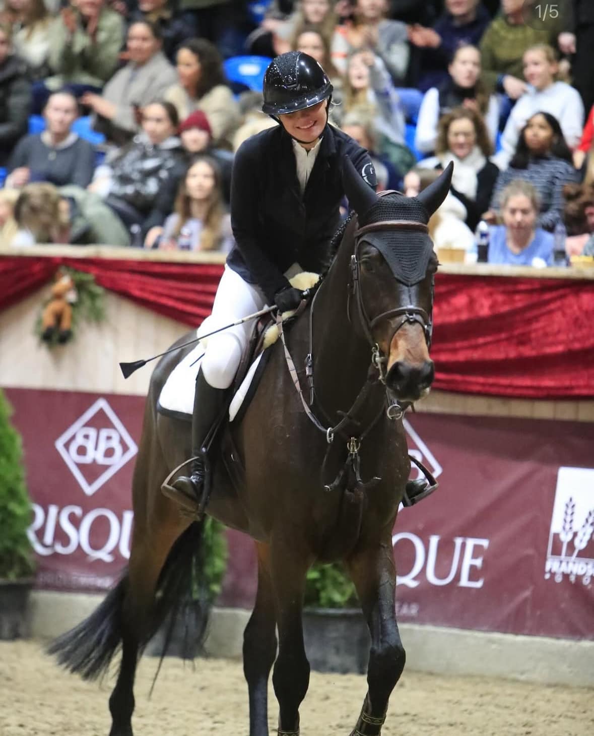 Equinesport Galleri 15