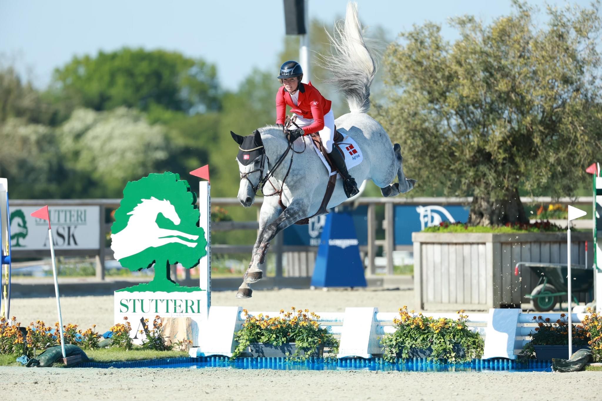 Equinesport Hero