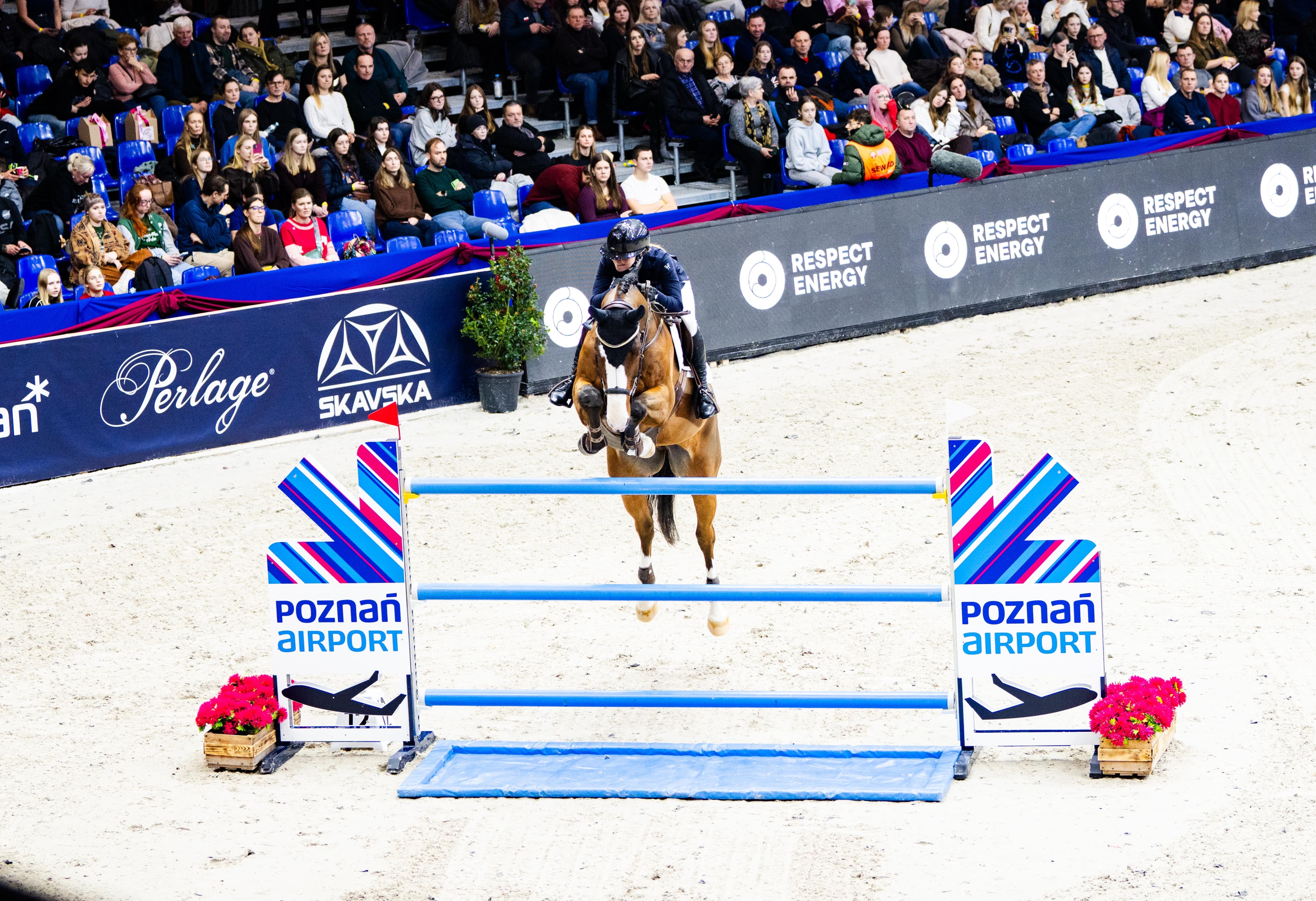 Equinesport Hero