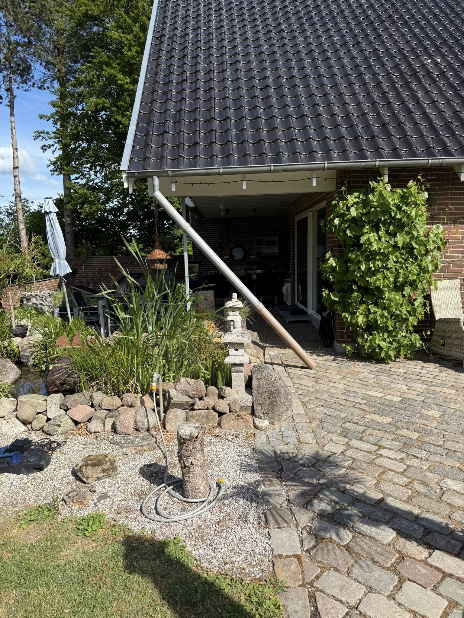 Før og efter algerens