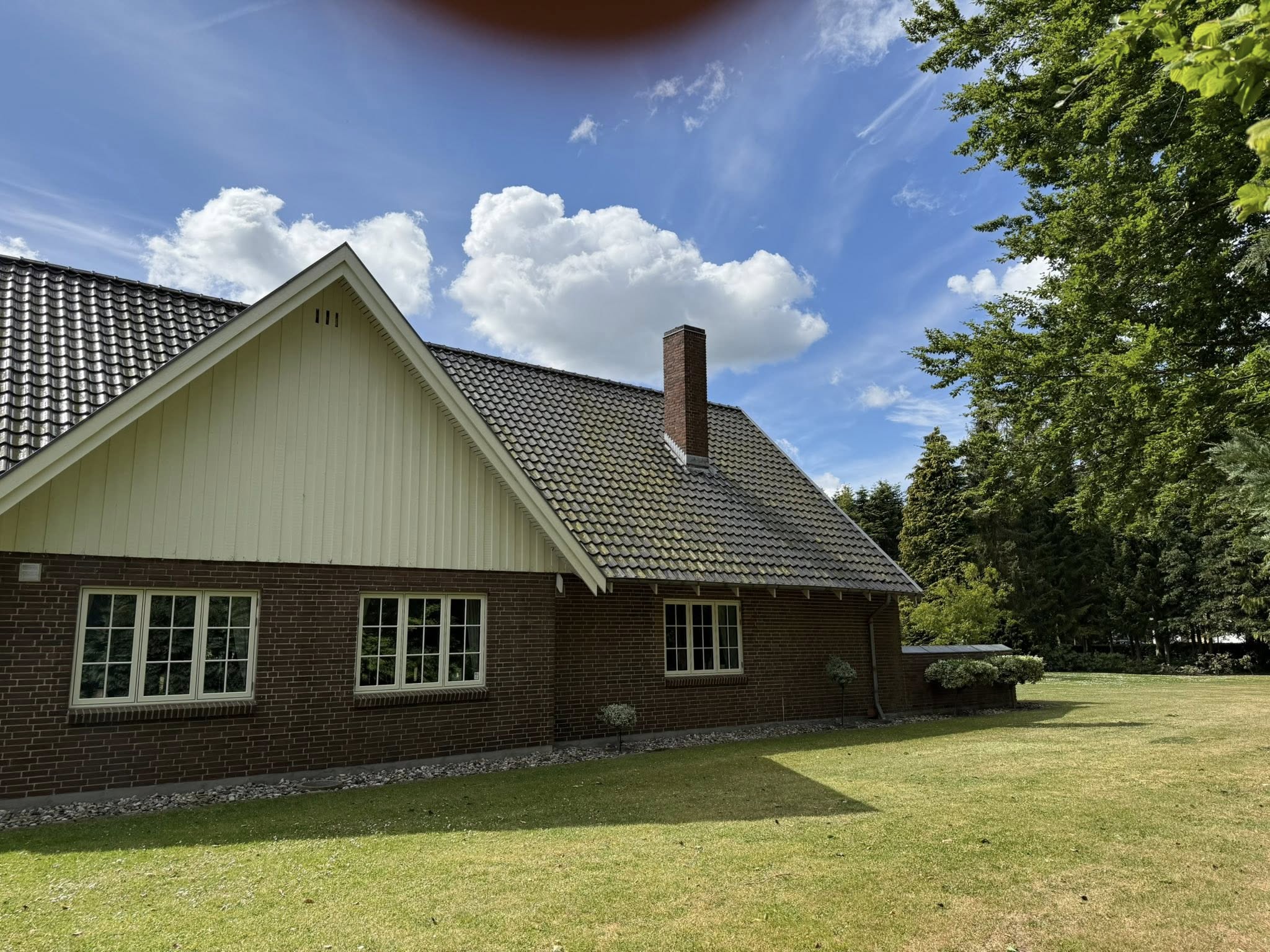 Algefri tagflade på Fyn