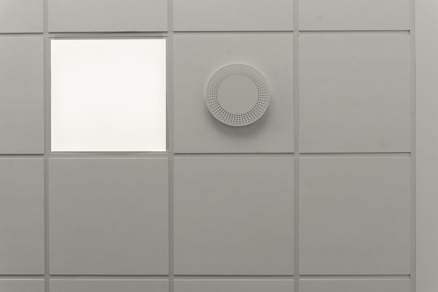 Galleribillede 30