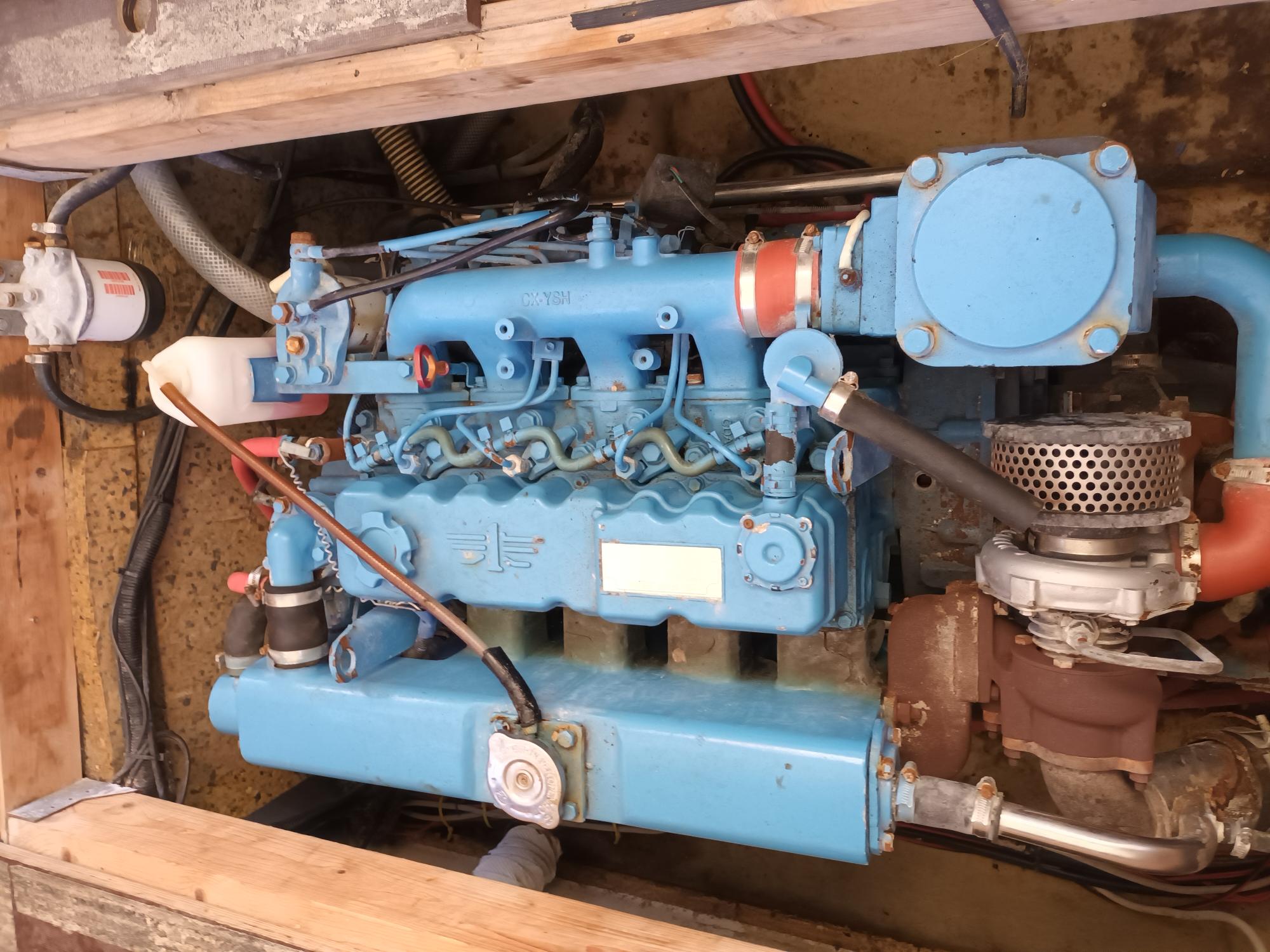 Husky Dane 1000 billede 28