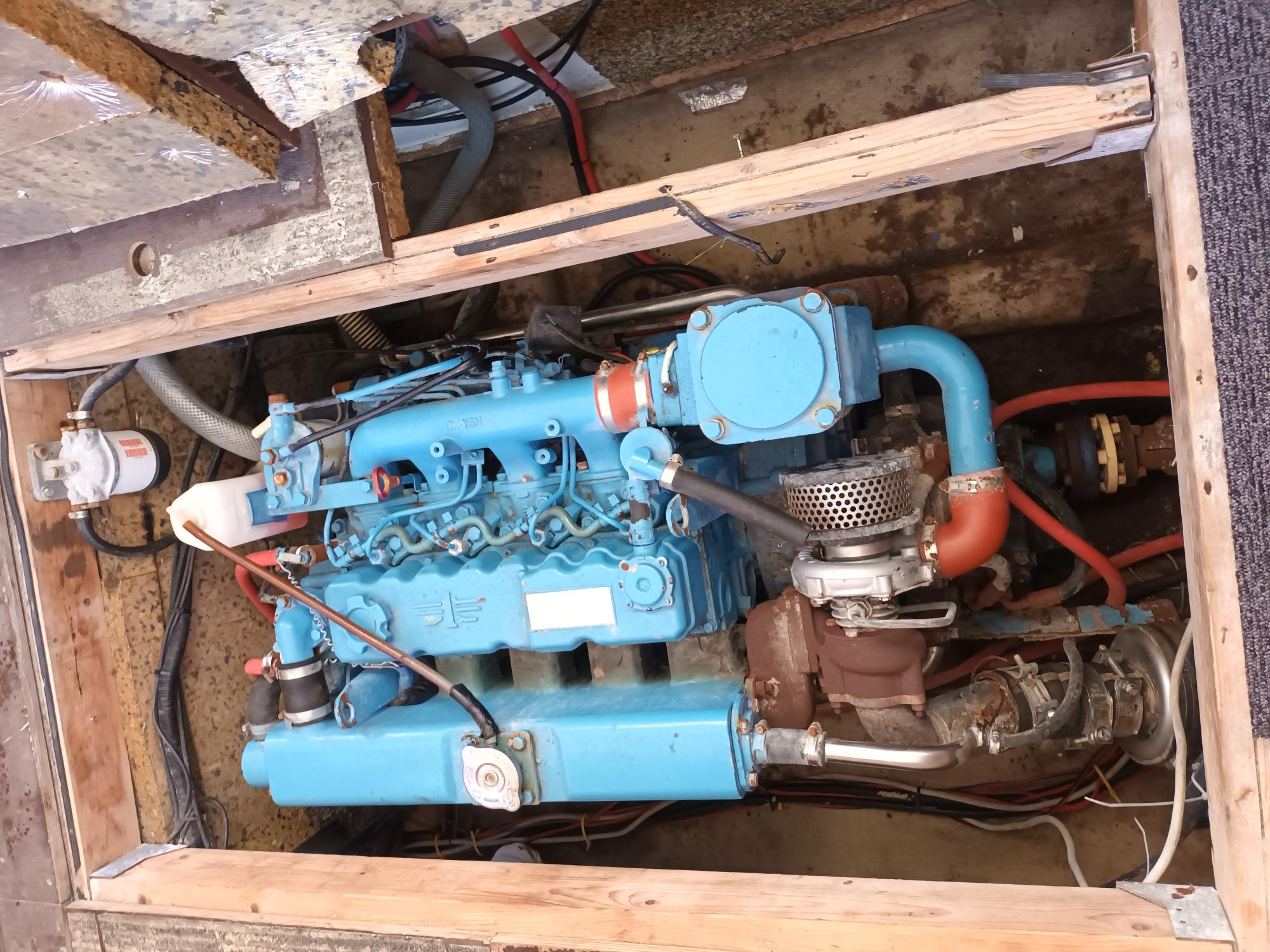 Husky Dane 1000 billede 29