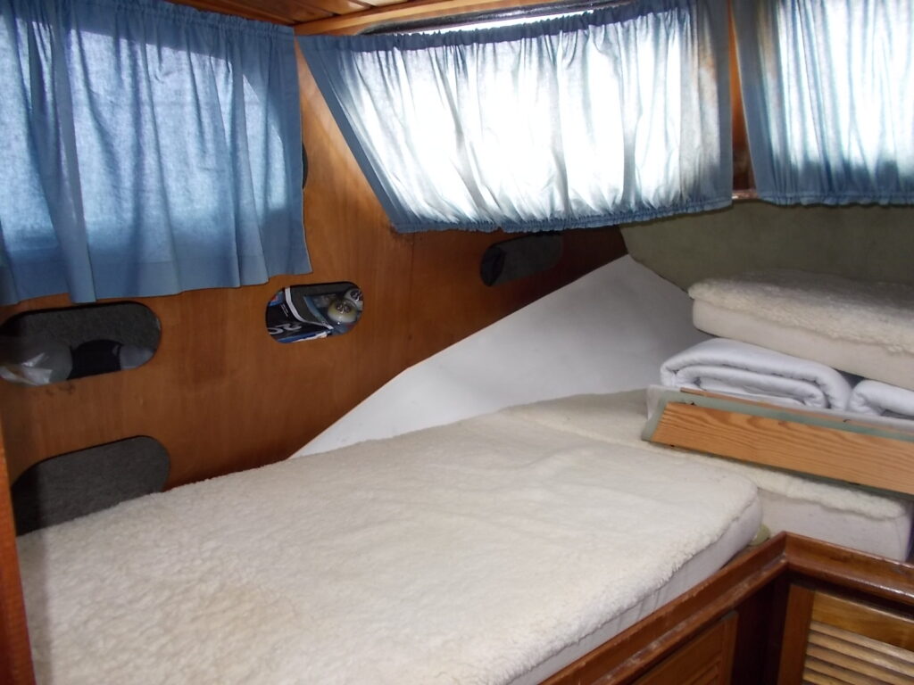 Starlett 34 flybridge-a billede 18
