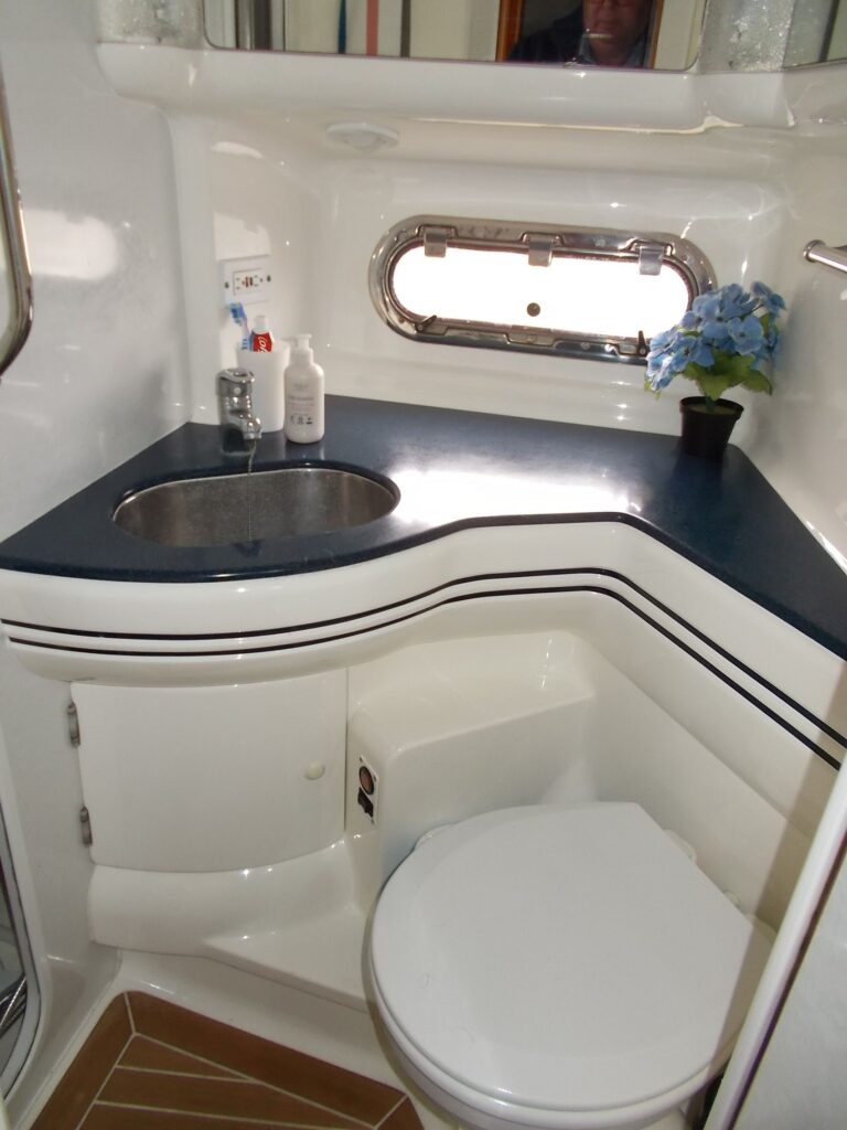 Sealine F44 m/for og agterpropel billede 25