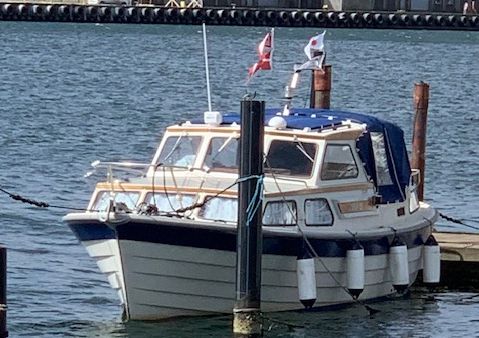 Saga 27 med ny motor billede 27