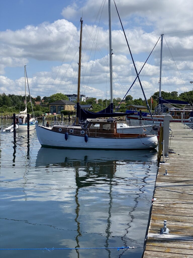 Dyreborg 32 FLOT billede 5