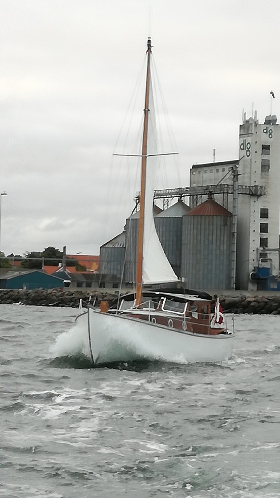 Dyreborg 32 FLOT billede 4