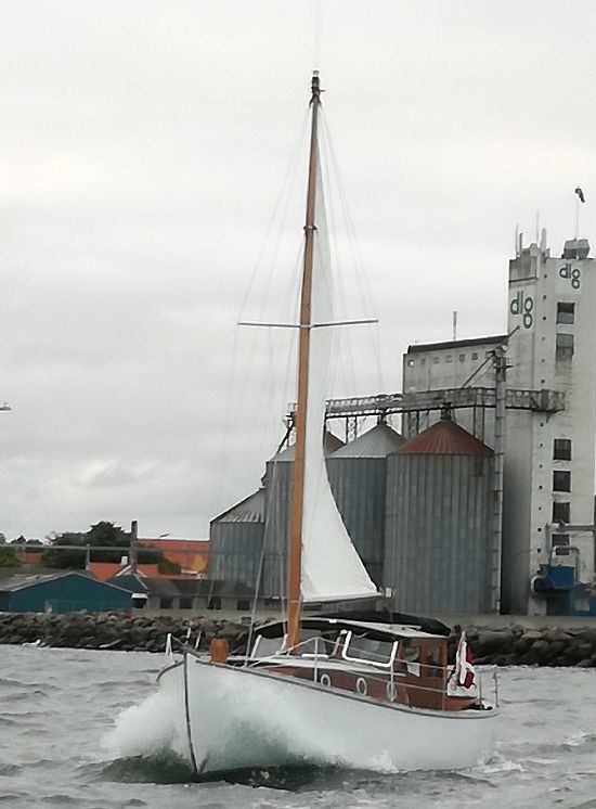 Dyreborg 32 FLOT billede 6