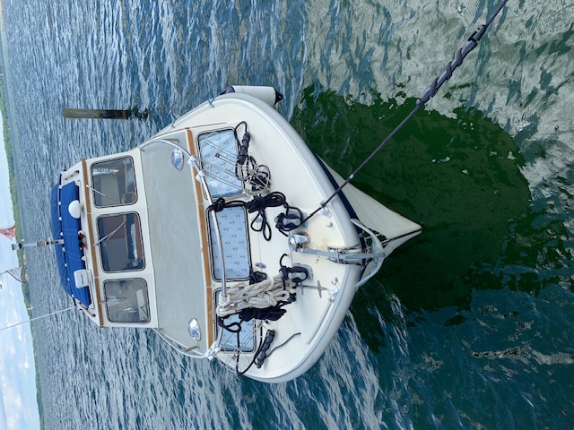 Saga 27 med ny motor billede 31