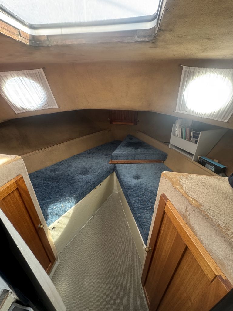 Starlett 34 flybridge billede 2