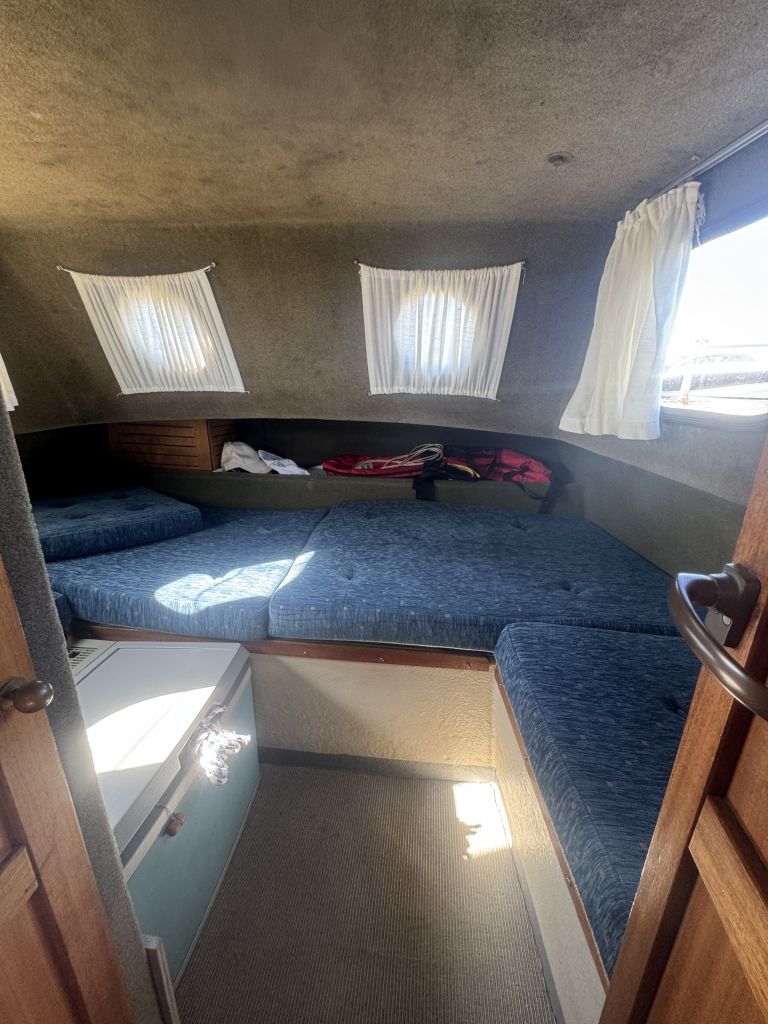 Starlett 34 flybridge billede 6