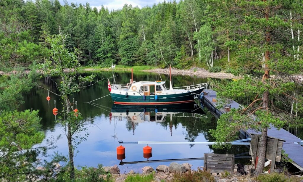 Spitsgatkotter billede 11