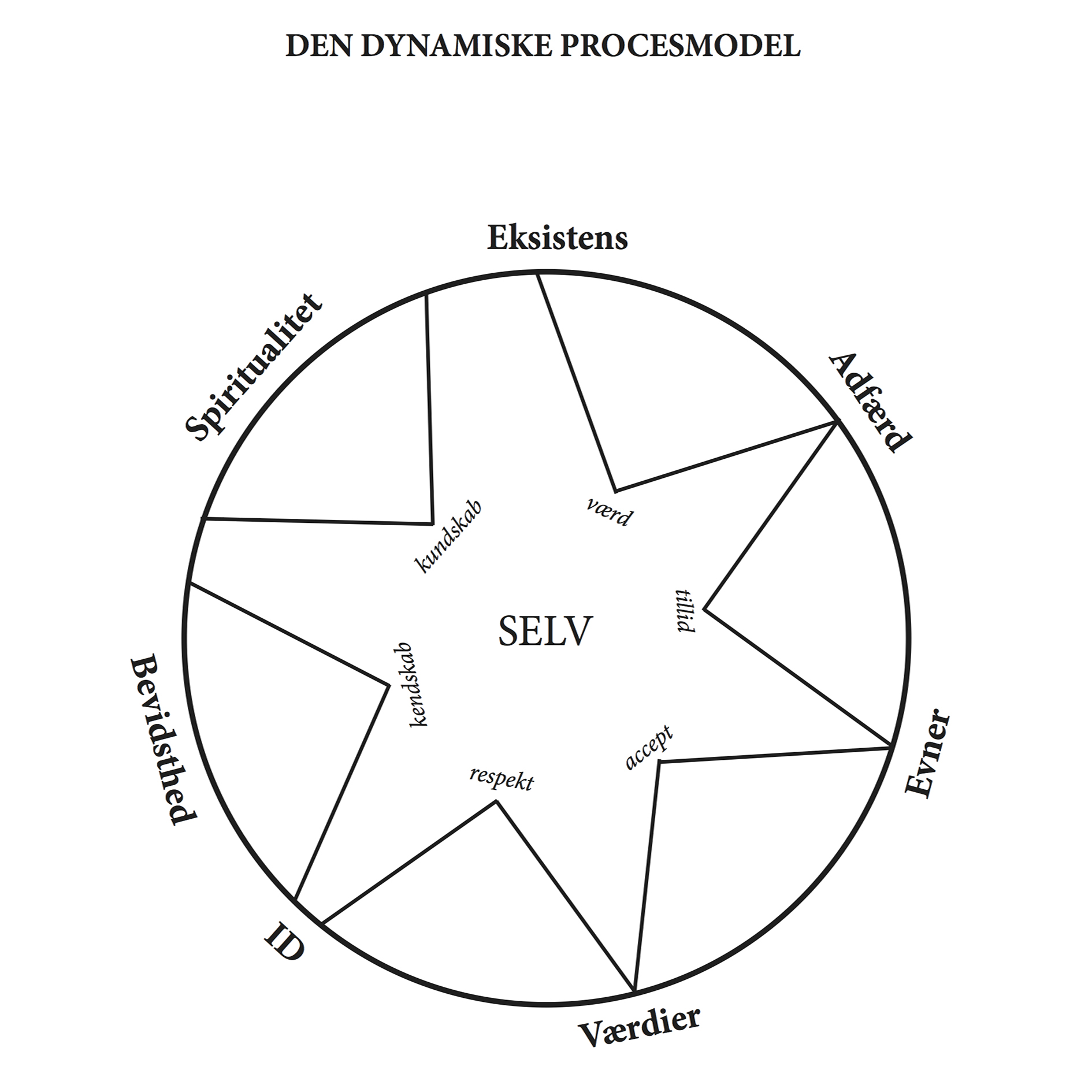 Den Dynamiske Procesmodel