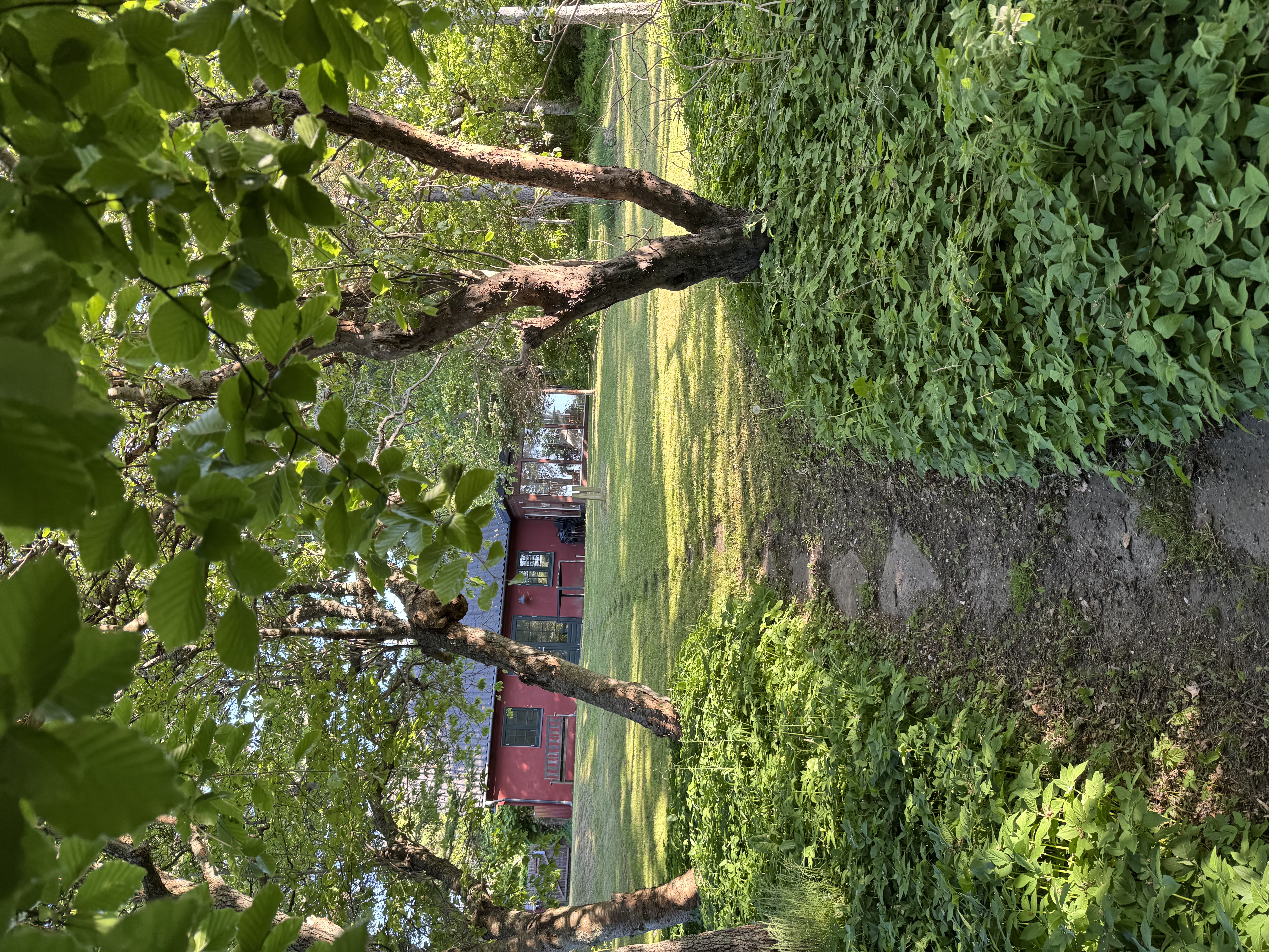 Velholdt grønt område