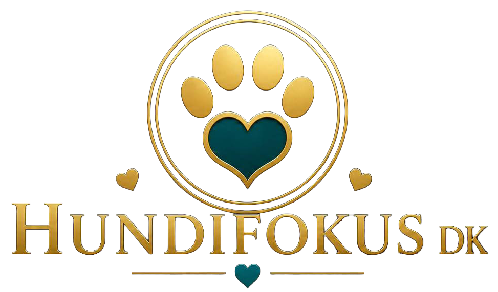 Hund i Fokus