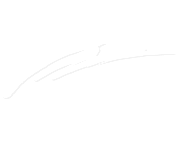 Partner 4