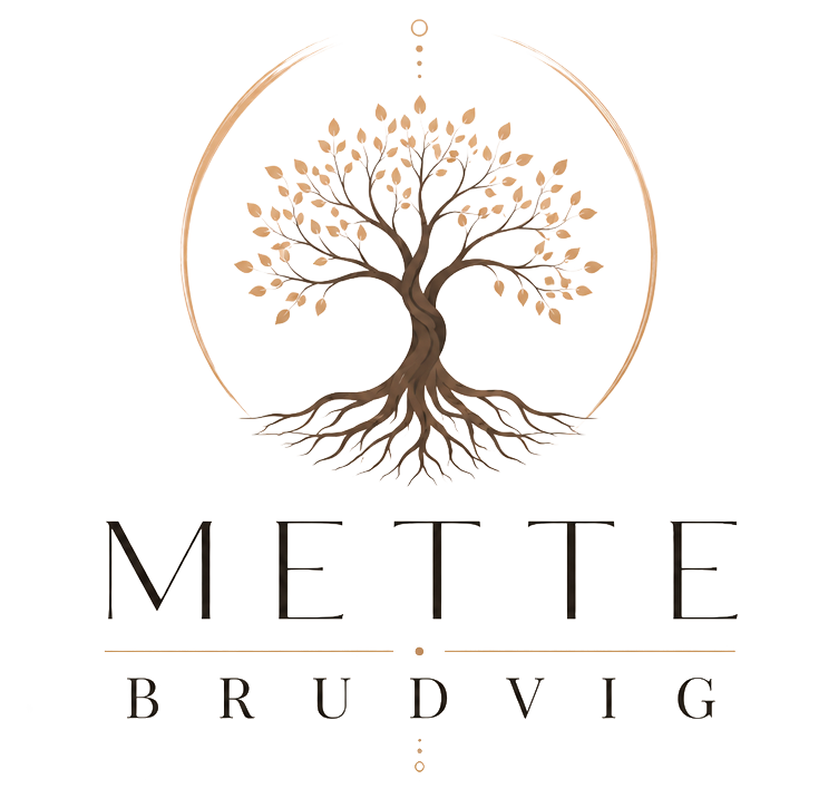 Mette Brudvig Logo