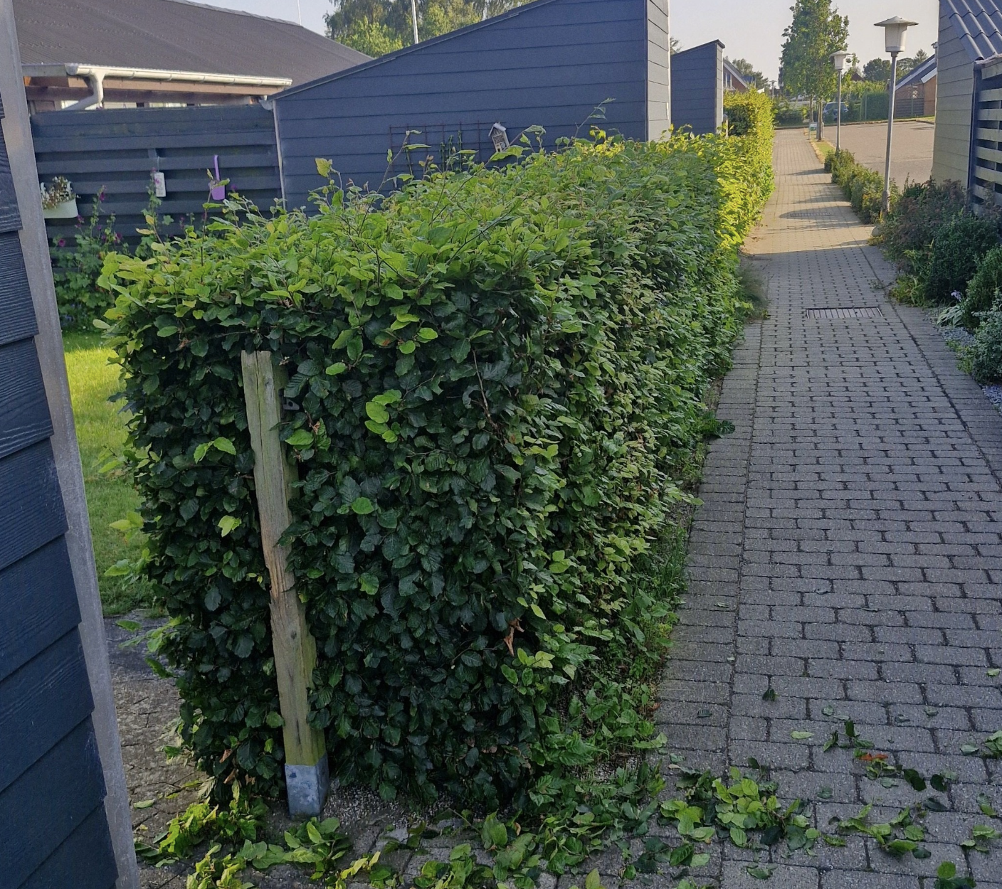 Opgave 1 – før påbegyndt have- og anlægsarbejde