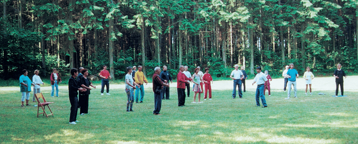 Chi Kung Workshop i skoven