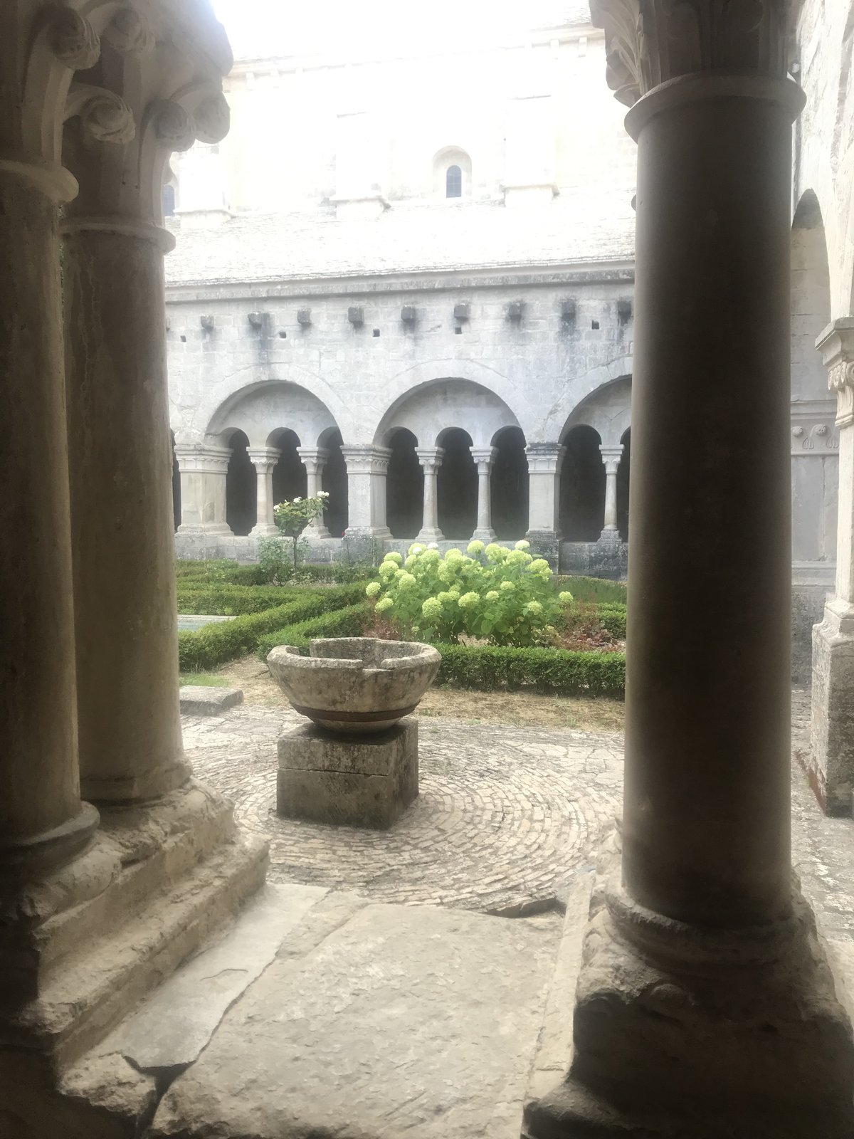 TEAMS
