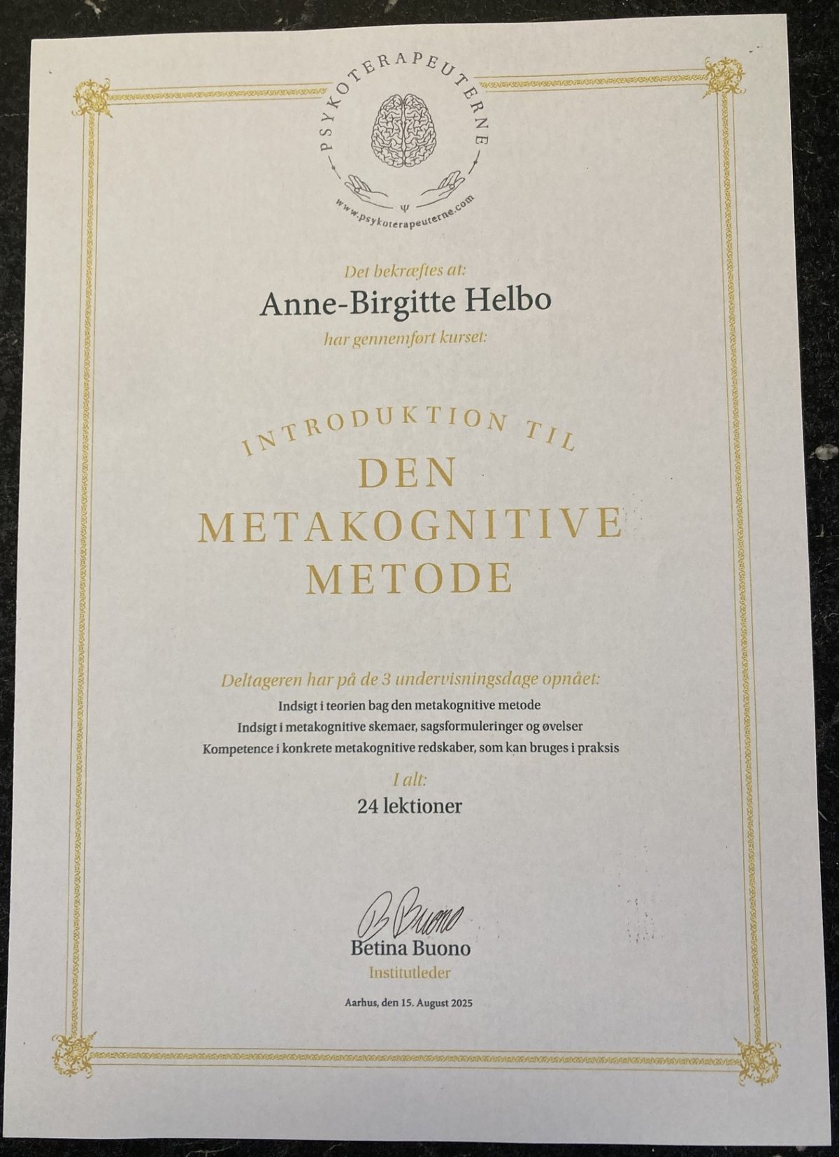 Introduktion til den metakognitive metode