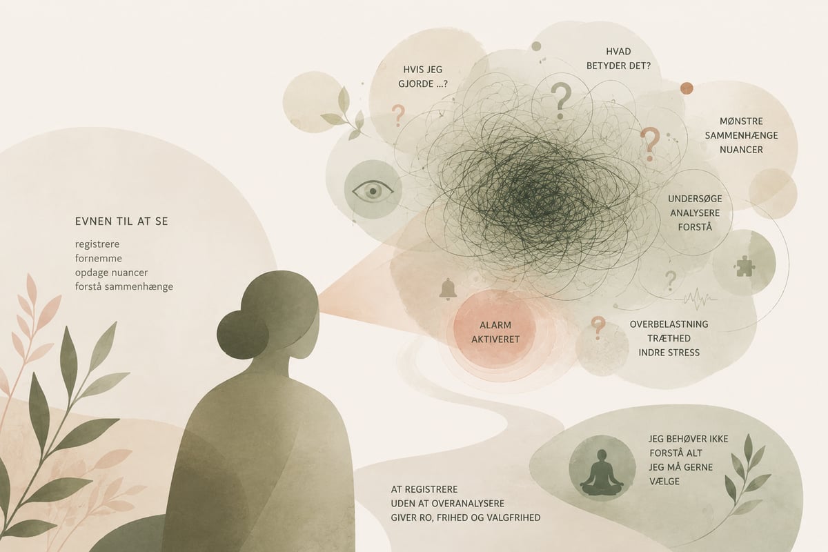 Ressourcen og den neuroaffektive bagside.