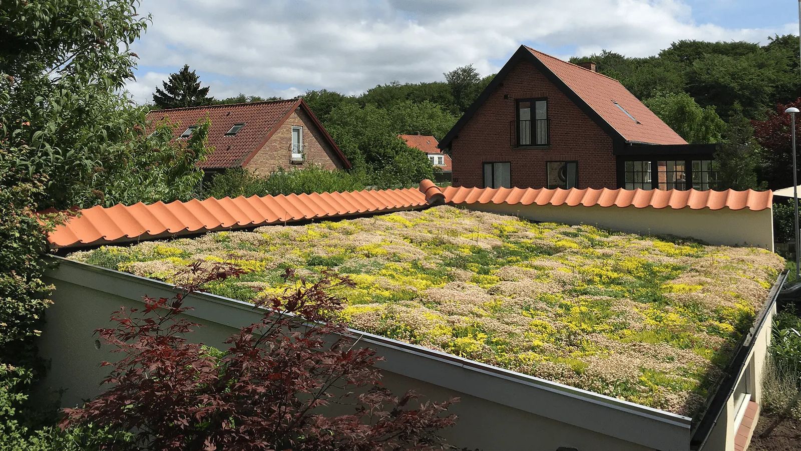 Tagdækning med shingles