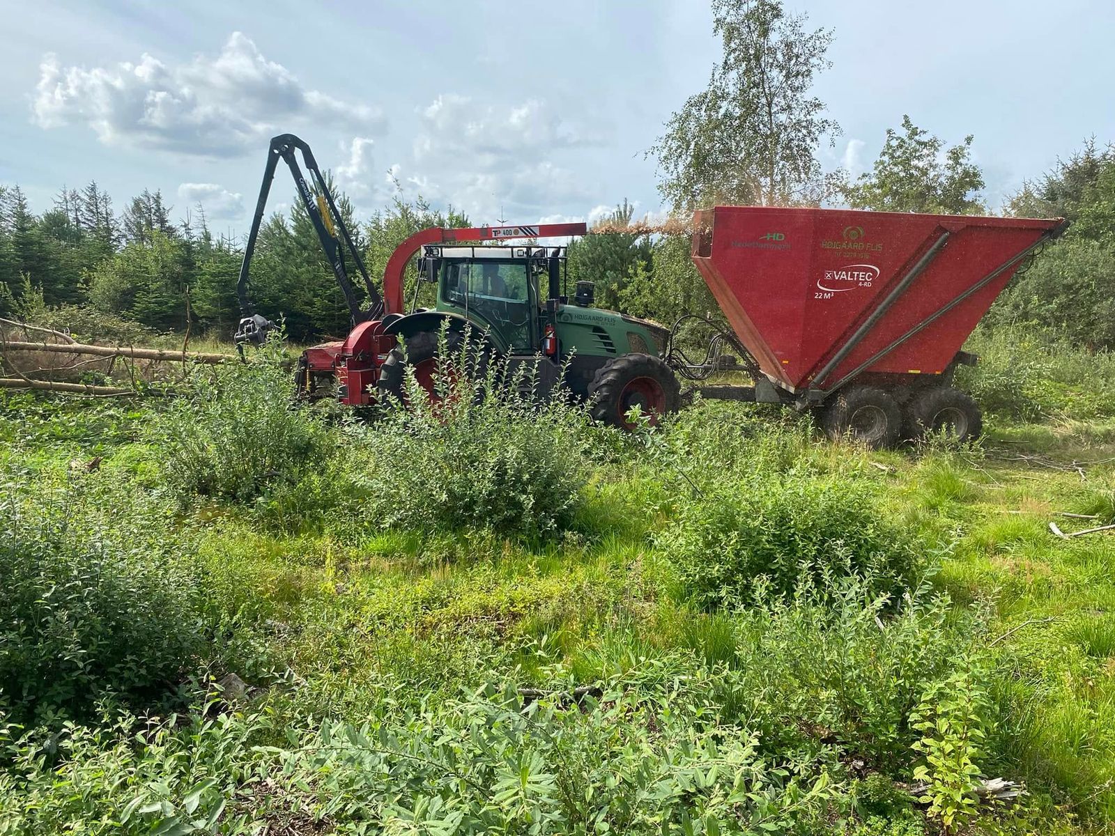 Tynding af skov og læhegn - Højgaard Flis