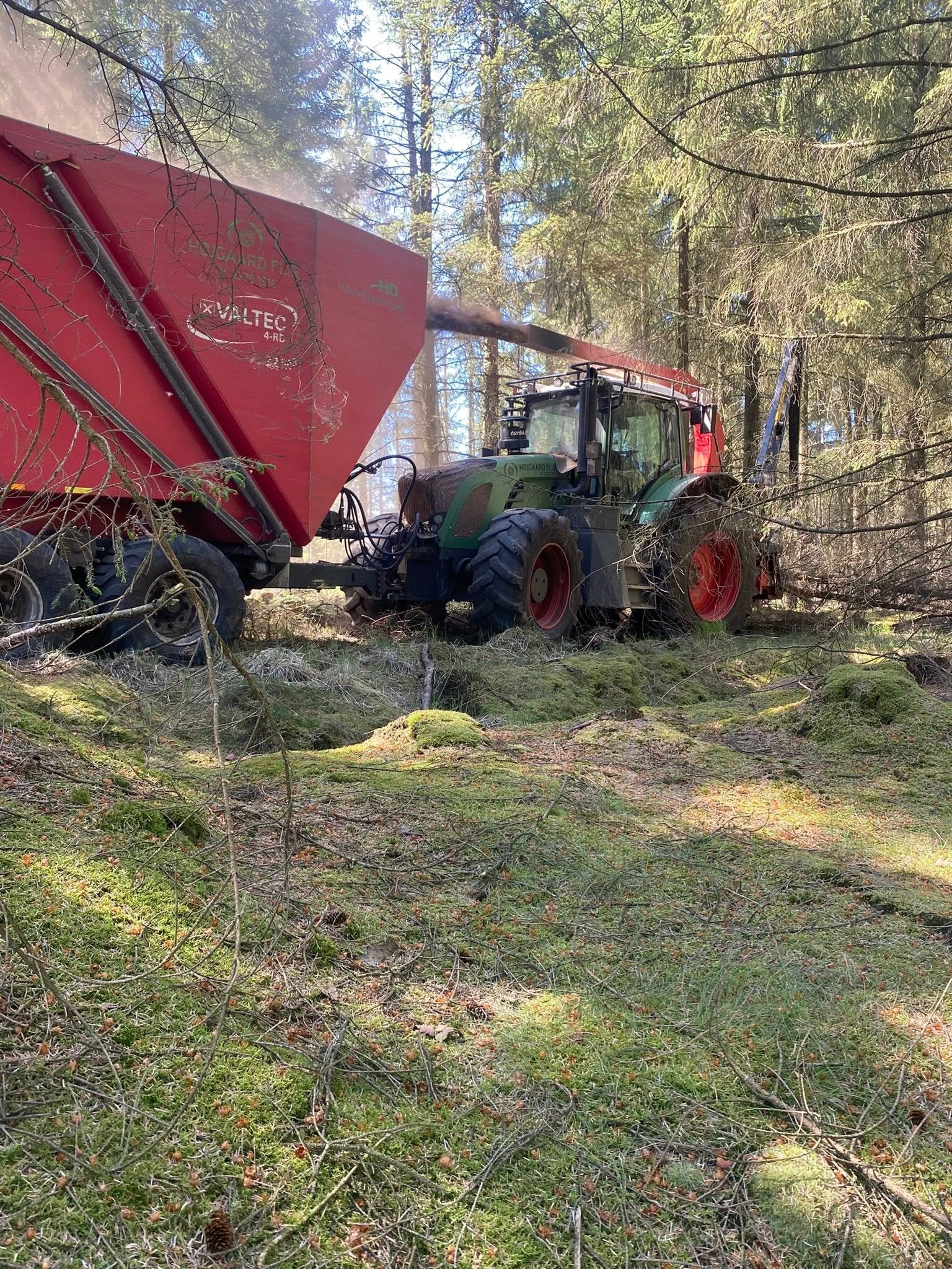 Traktor med flishugger blæser træflis op i rød vogn under skovarbejde