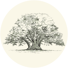 Træ logo