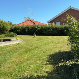 Projektbillede
