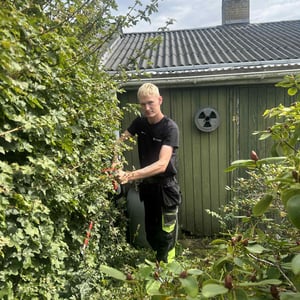 Projektbillede