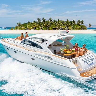 Speedboat til White Island galleri 1